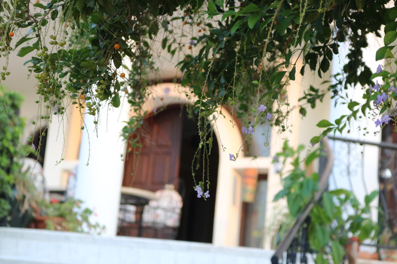 Meryem'S Hotel Agios Epiktitos Ngoại thất bức ảnh